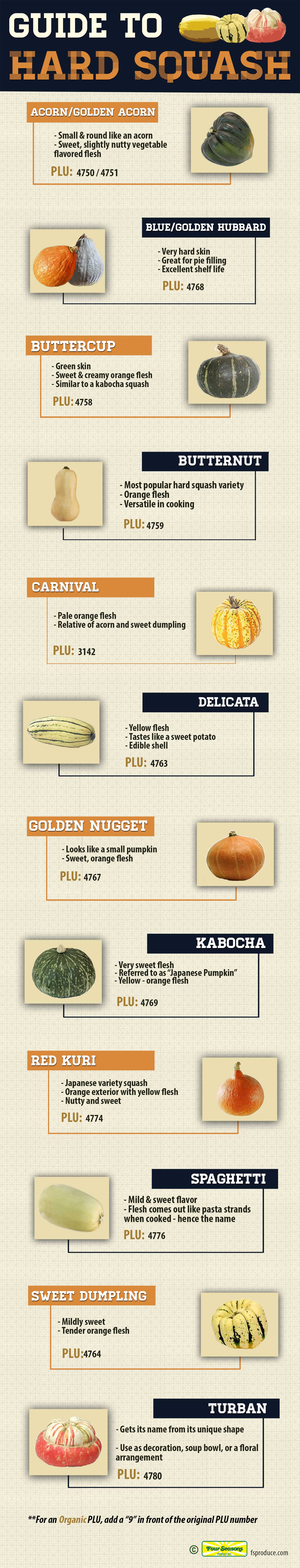 Guide to Hard Squash Four Seasons